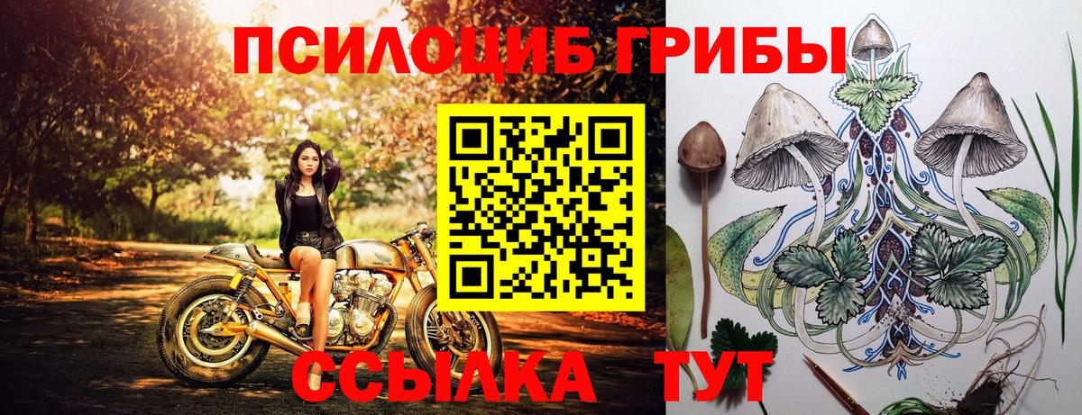 Галлюциногенные грибы GOLDEN TEACHER Электросталь